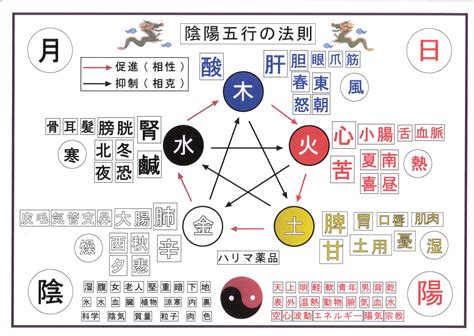 64年次五行